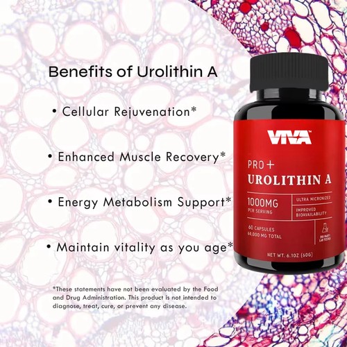 Urolithin capsules 1000 mg - urolithin,