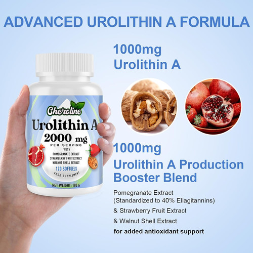 Urolithin supplement 2000mg - supplement,