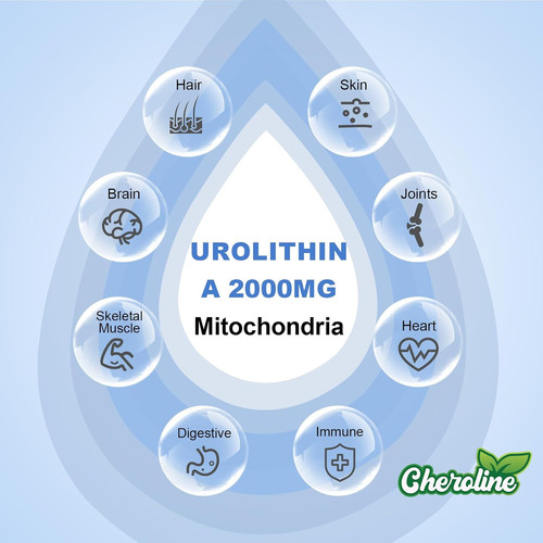 Urolithin supplement 2000mg - a,