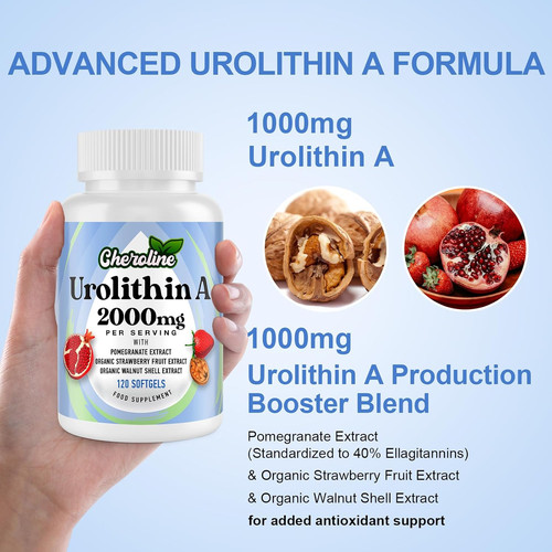 Urolithin supplement 2000mg - supplement,