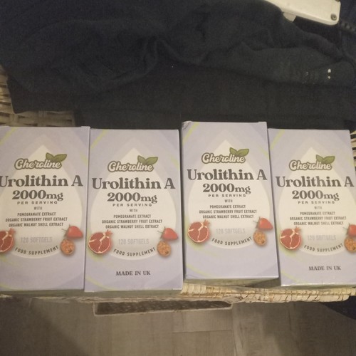 Urolithin supplement 2000mg - urolithin,